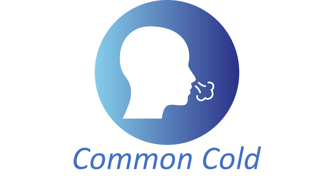 Common Cold icon