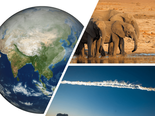 Earth, Asteroids, and Elephants